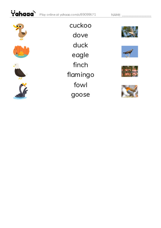 Common Nouns in English: birds 2 PDF three columns match words