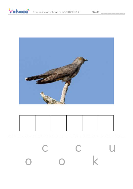 Common Nouns in English: birds 2 PDF word puzzles worksheet