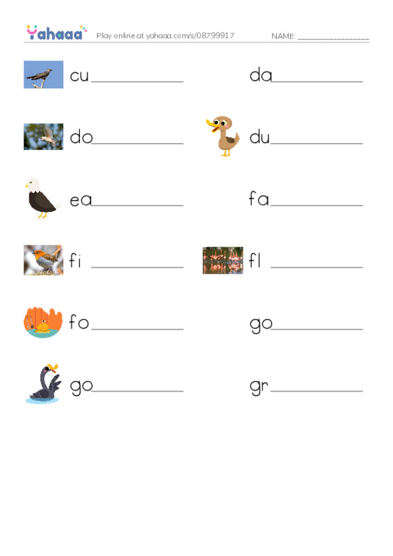 Common Nouns in English: birds 2 PDF worksheet writing row