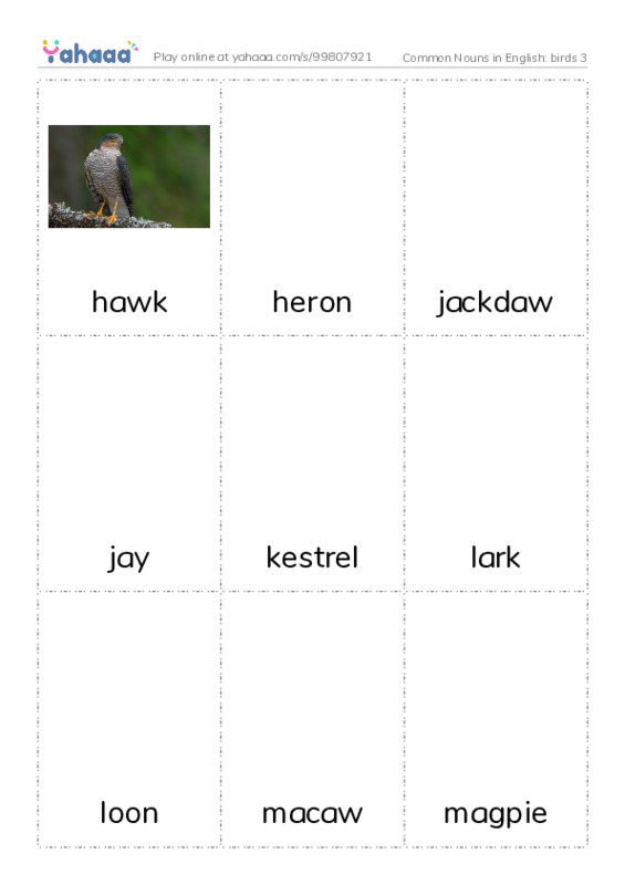 Common Nouns in English: birds 3 PDF flaschards with images