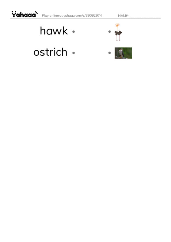 Common Nouns in English: birds 3 PDF link match words worksheet