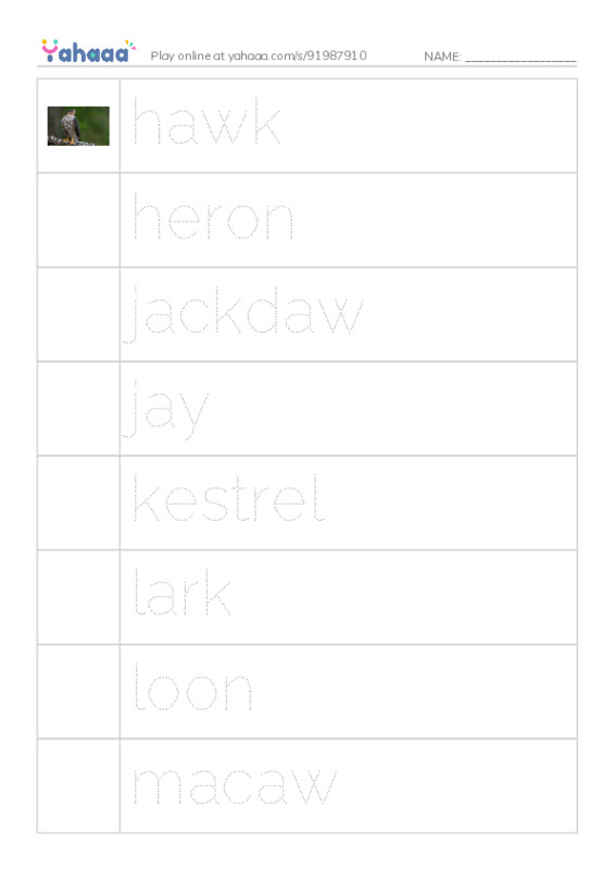 Common Nouns in English: birds 3 PDF one column image words