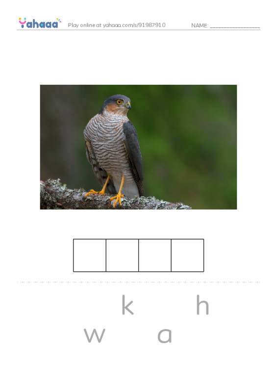 Common Nouns in English: birds 3 PDF word puzzles worksheet