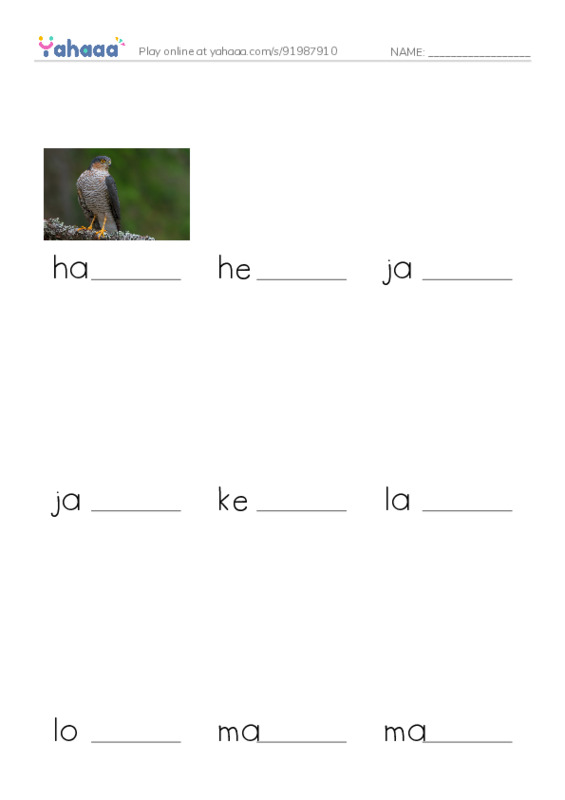 Common Nouns in English: birds 3 PDF worksheet to fill in words gaps