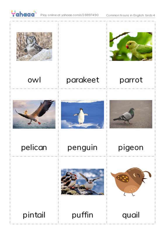 Common Nouns in English: birds 4 PDF flaschards with images