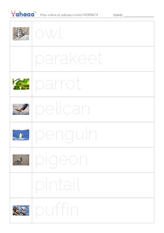 Common Nouns in English: birds 4 PDF one column image words
