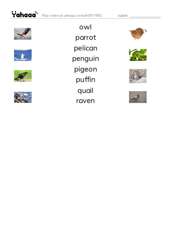 Common Nouns in English: birds 4 PDF three columns match words