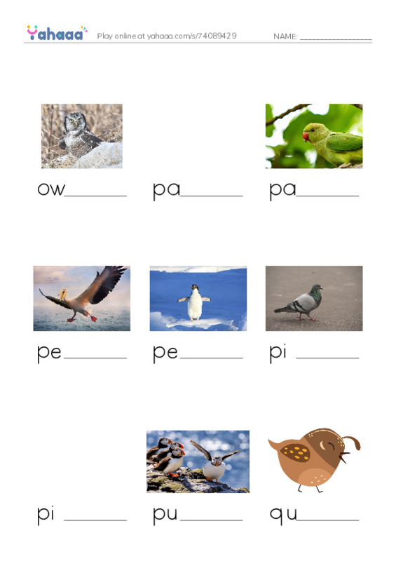 Common Nouns in English: birds 4 PDF worksheet to fill in words gaps