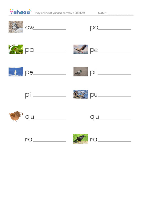 Common Nouns in English: birds 4 PDF worksheet writing row