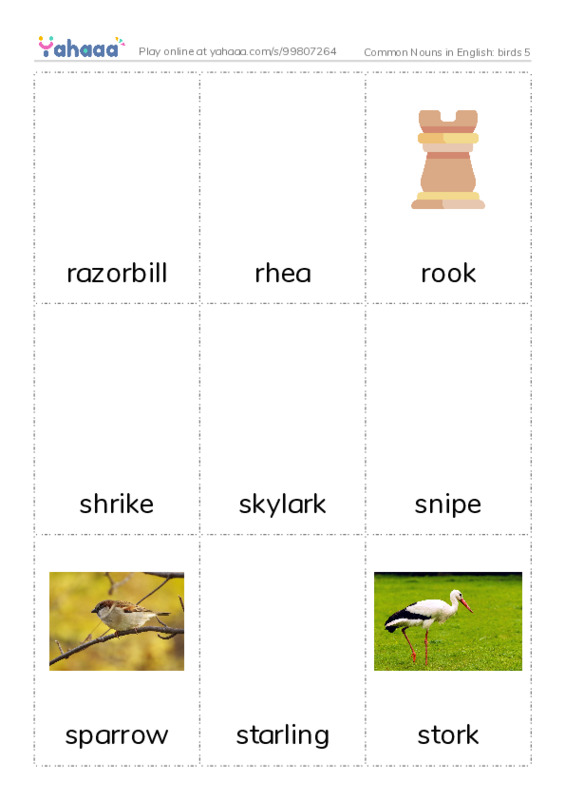 Common Nouns in English: birds 5 PDF flaschards with images