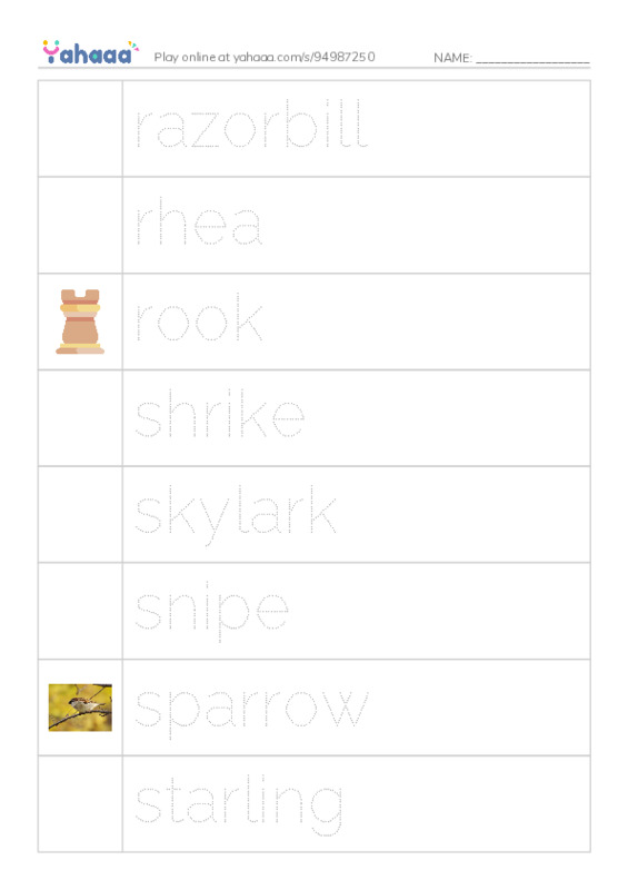 Common Nouns in English: birds 5 PDF one column image words