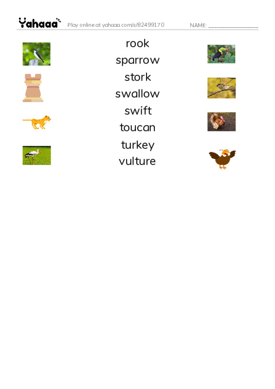 Common Nouns in English: birds 5 PDF three columns match words