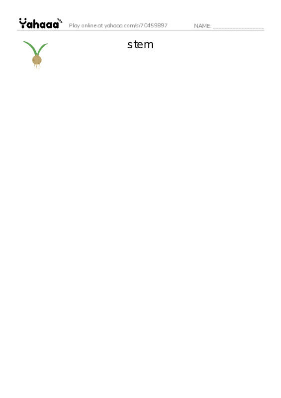 Common Nouns in English: music theory 5 PDF three columns match words