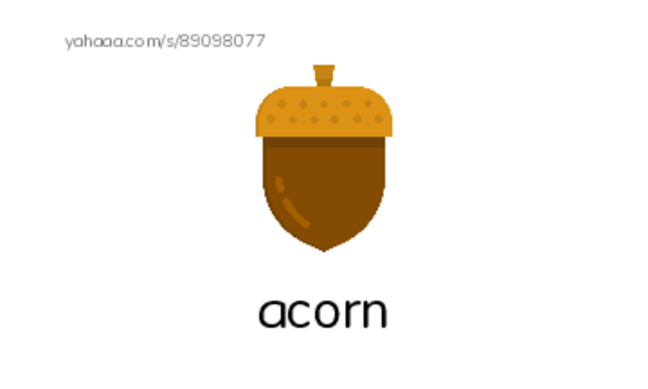 Common Nouns in English: plants 1 PDF index cards with images