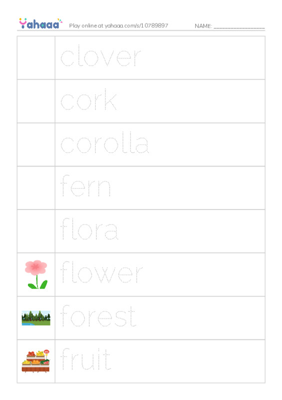 Common Nouns in English: plants 2 PDF one column image words