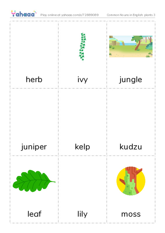 Common Nouns in English: plants 3 PDF flaschards with images