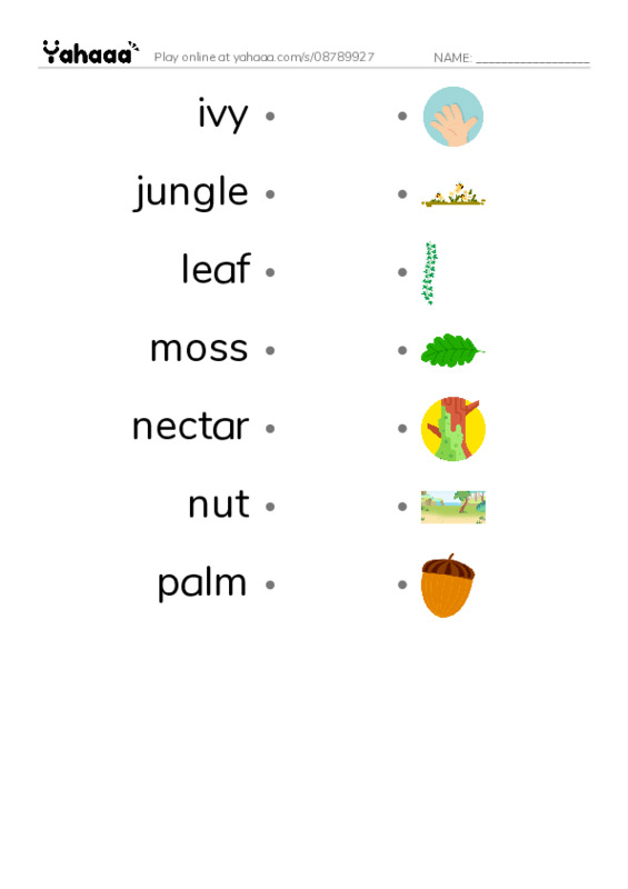Common Nouns in English: plants 3 PDF link match words worksheet