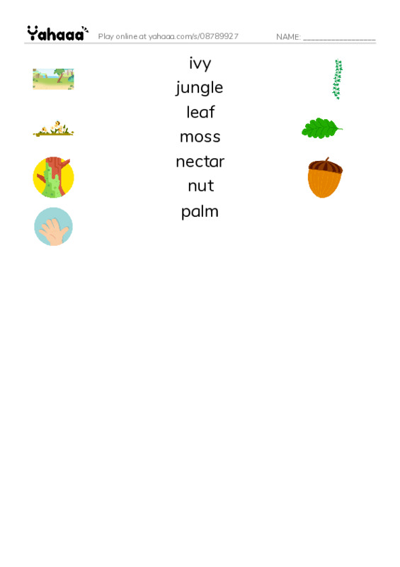 Common Nouns in English: plants 3 PDF three columns match words