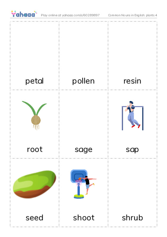 Common Nouns in English: plants 4 PDF flaschards with images