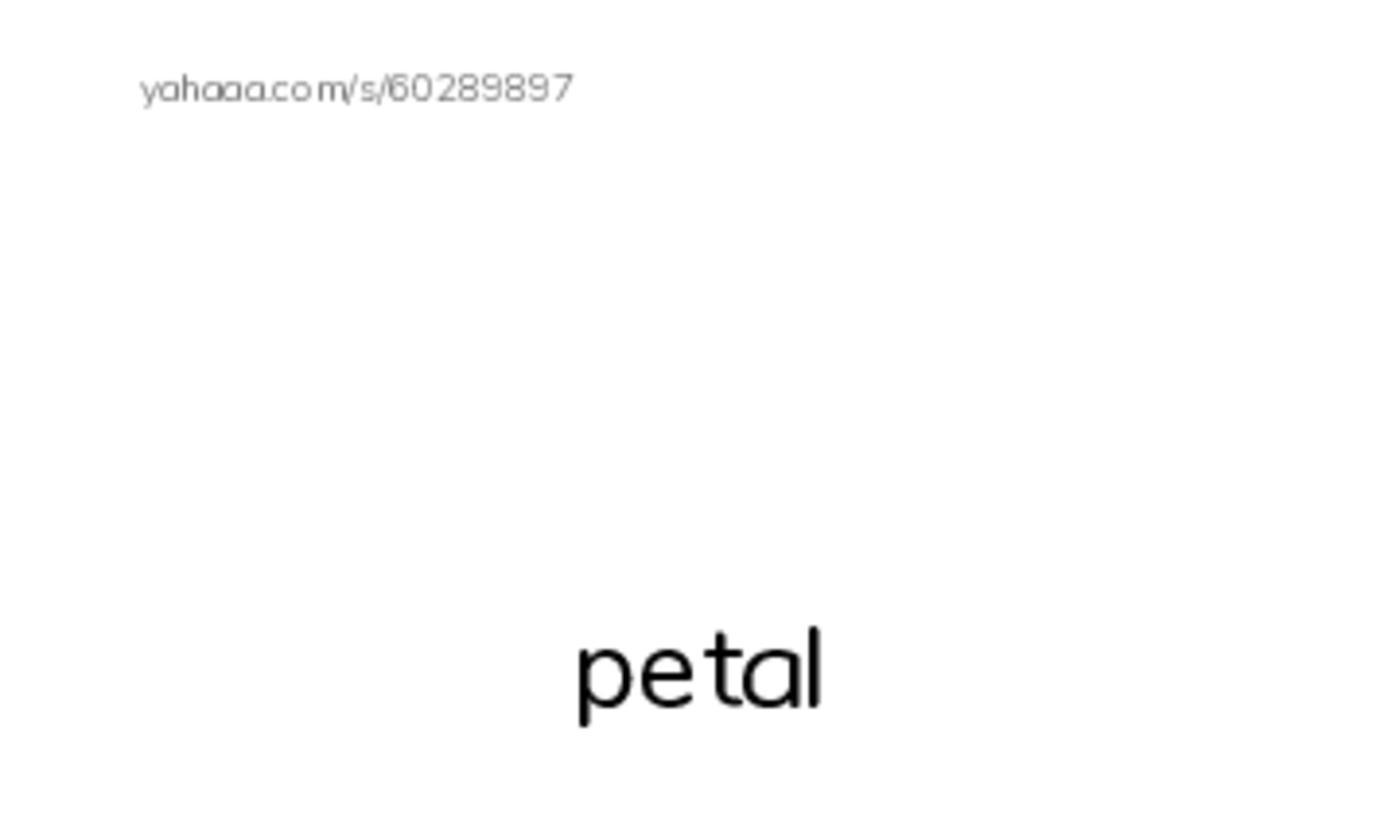 Common Nouns in English: plants 4 PDF index cards with images
