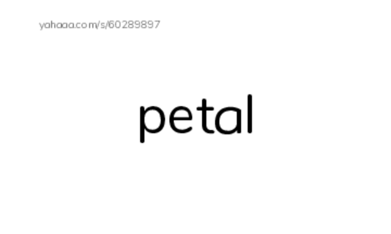 Common Nouns in English: plants 4 PDF index cards word only