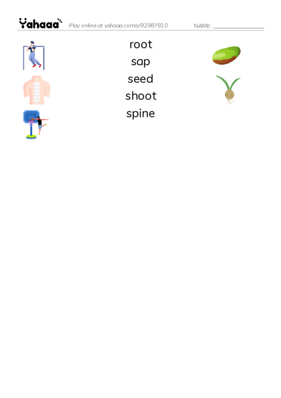 Common Nouns in English: plants 4 PDF three columns match words