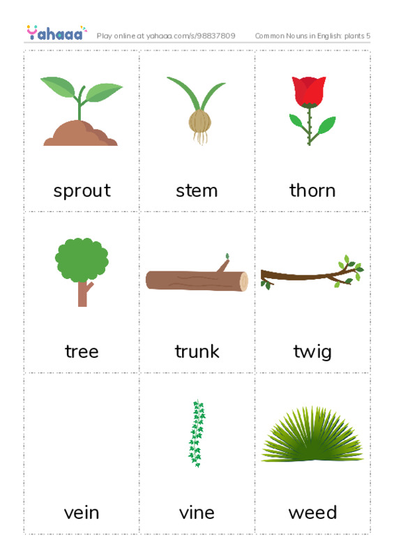 Common Nouns in English: plants 5 PDF flaschards with images