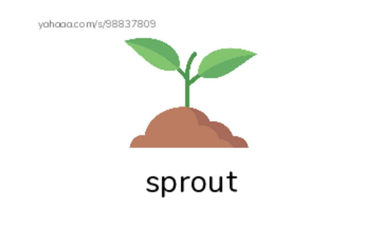 Common Nouns in English: plants 5 PDF index cards with images