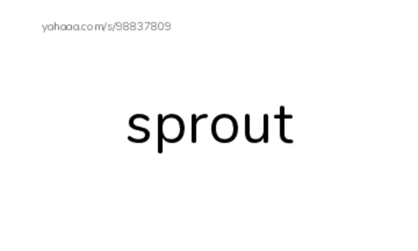 Common Nouns in English: plants 5 PDF index cards word only