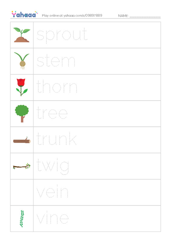 Common Nouns in English: plants 5 PDF one column image words