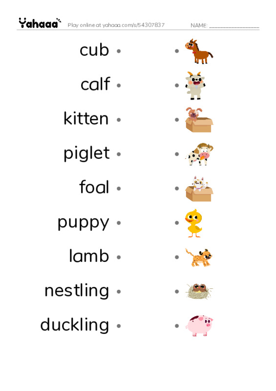 Young Animals PDF link match words worksheet