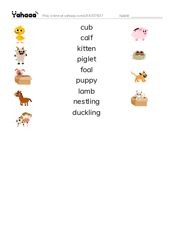 Young Animals PDF three columns match words