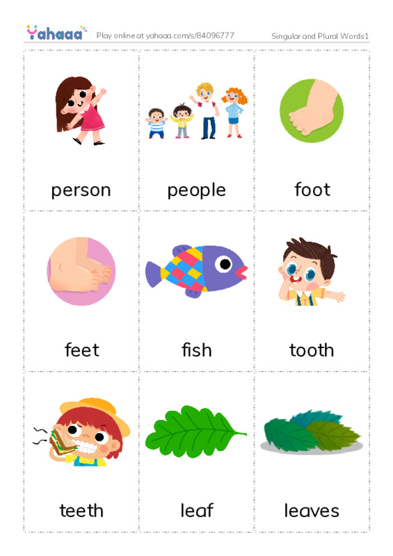 Singular and Plural Words1 PDF flaschards with images