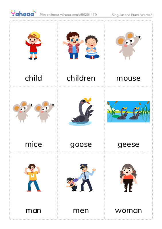Singular and Plural Words2 PDF flaschards with images