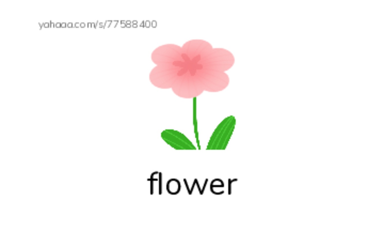 RAZ Vocabulary A: I Love Flowers PDF index cards with images