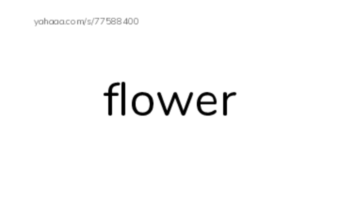 RAZ Vocabulary A: I Love Flowers PDF index cards word only