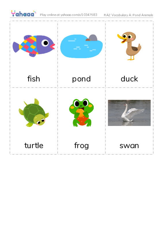 RAZ Vocabulary A: Pond Animals PDF flaschards with images
