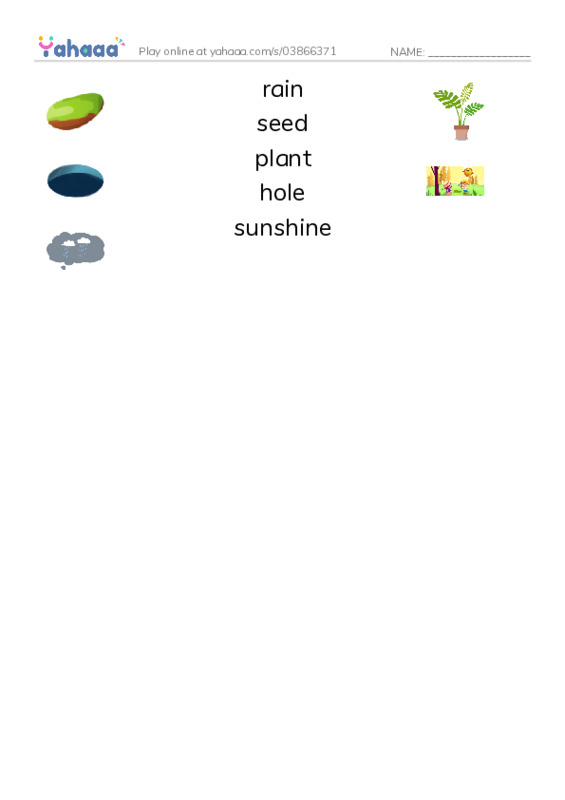 RAZ Vocabulary AAA: The Plant PDF three columns match words