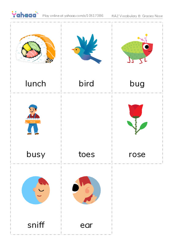 RAZ Vocabulary B: Gracies Nose PDF flaschards with images