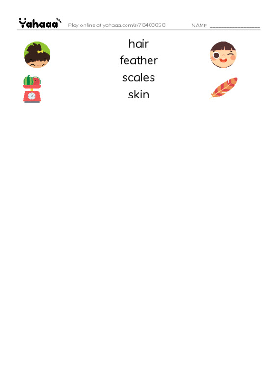 RAZ Vocabulary B: My School Bus PDF three columns match words