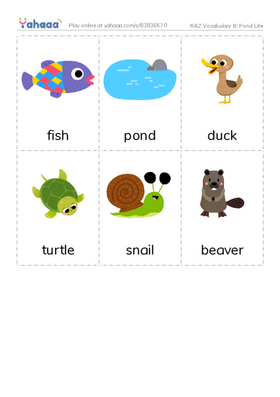 RAZ Vocabulary B: Pond Life PDF flaschards with images