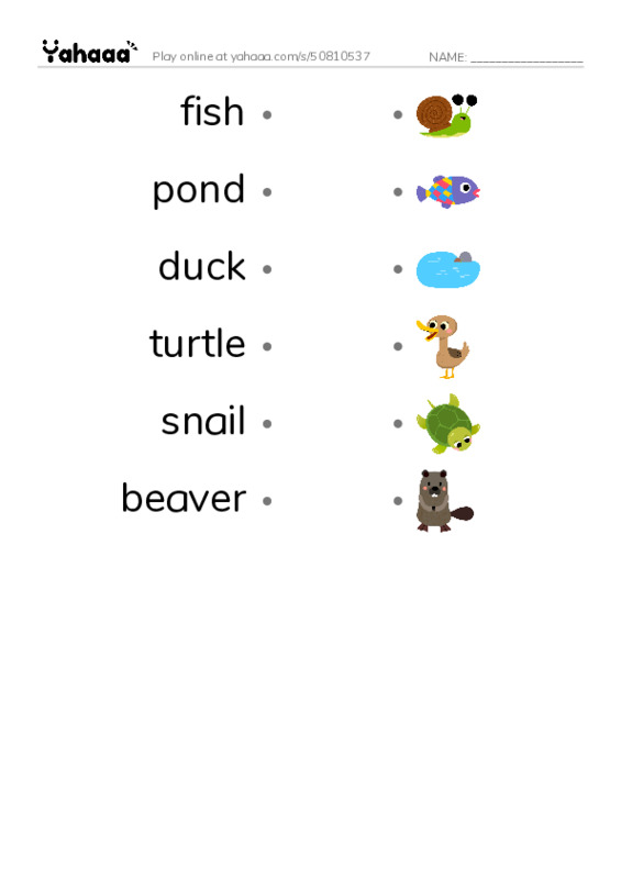 RAZ Vocabulary B: Pond Life PDF link match words worksheet