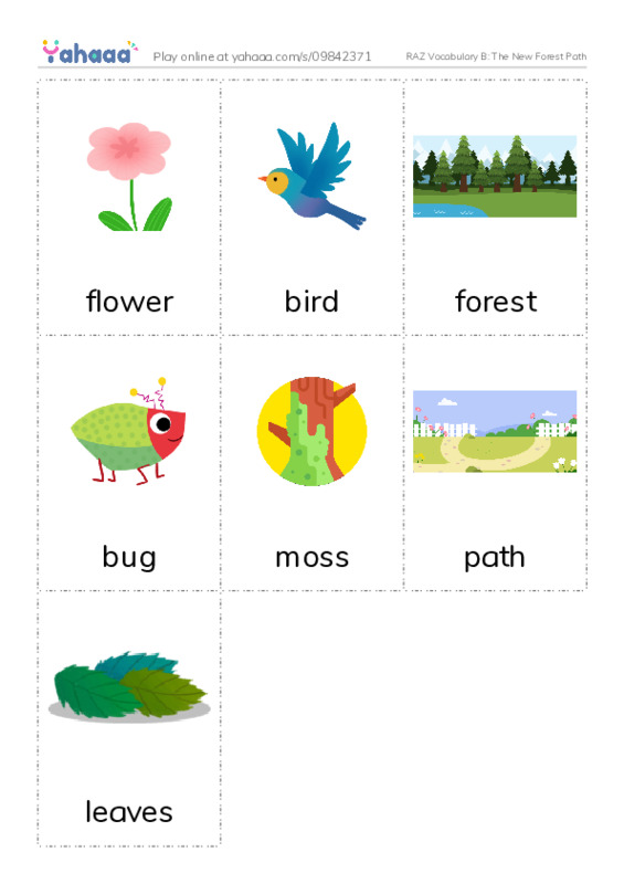 RAZ Vocabulary B: The New Forest Path PDF flaschards with images