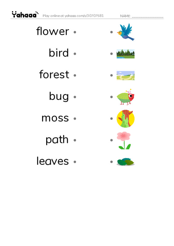 RAZ Vocabulary B: The New Forest Path PDF link match words worksheet