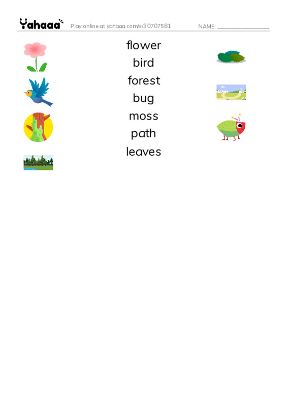 RAZ Vocabulary B: The New Forest Path PDF three columns match words