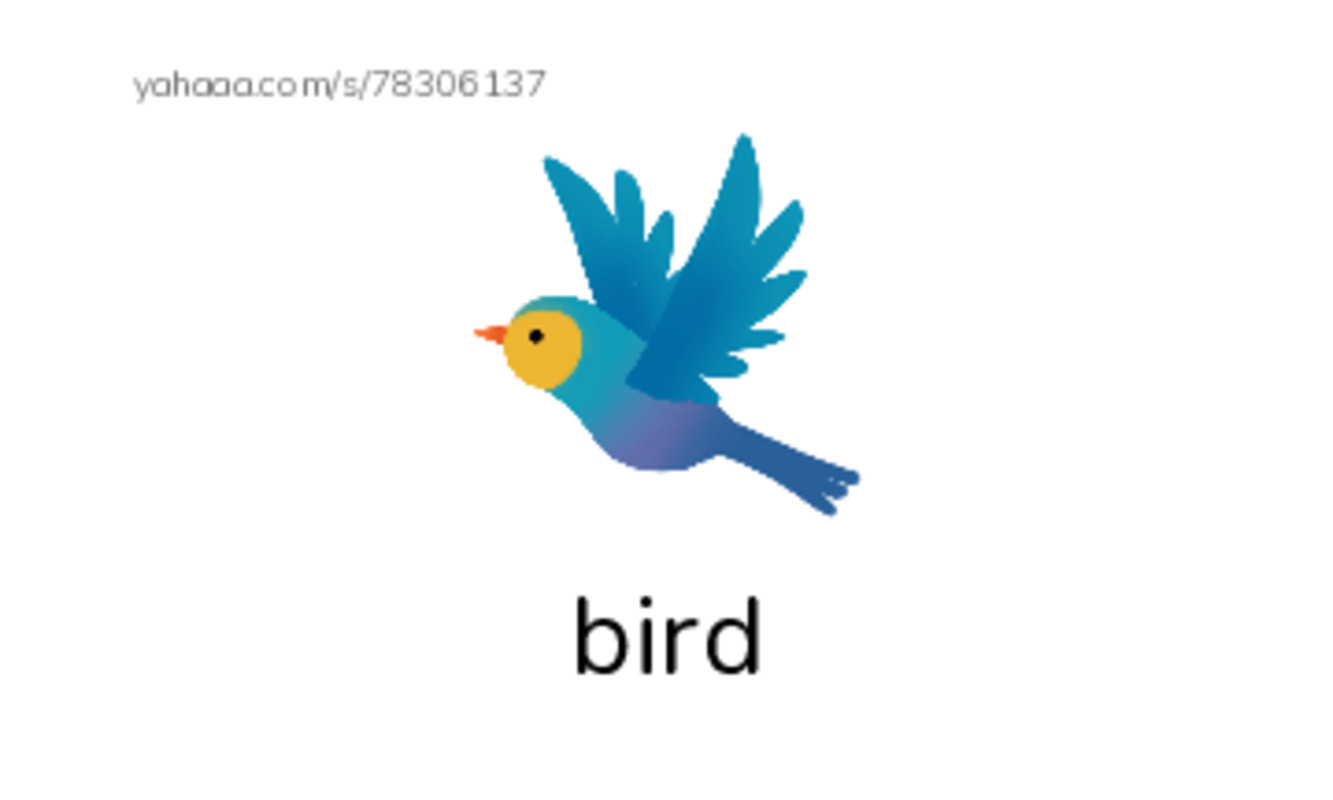 RAZ Vocabulary B: Three Baby Birds PDF index cards with images