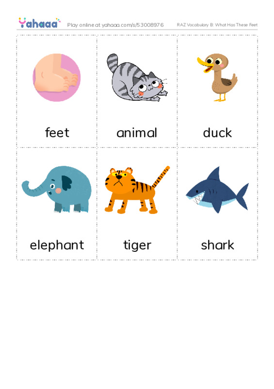 RAZ Vocabulary B: What Has These Feet PDF flaschards with images
