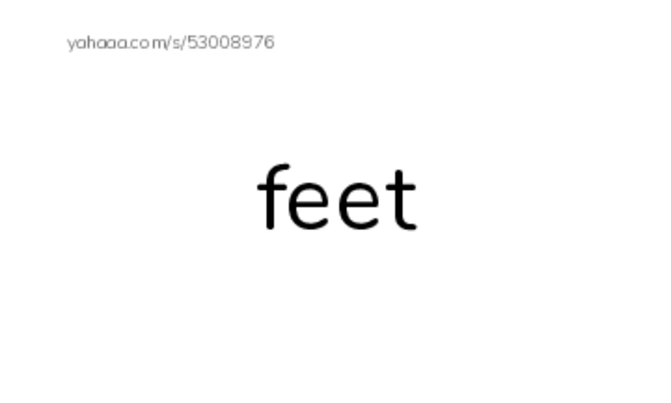 RAZ Vocabulary B: What Has These Feet PDF index cards word only