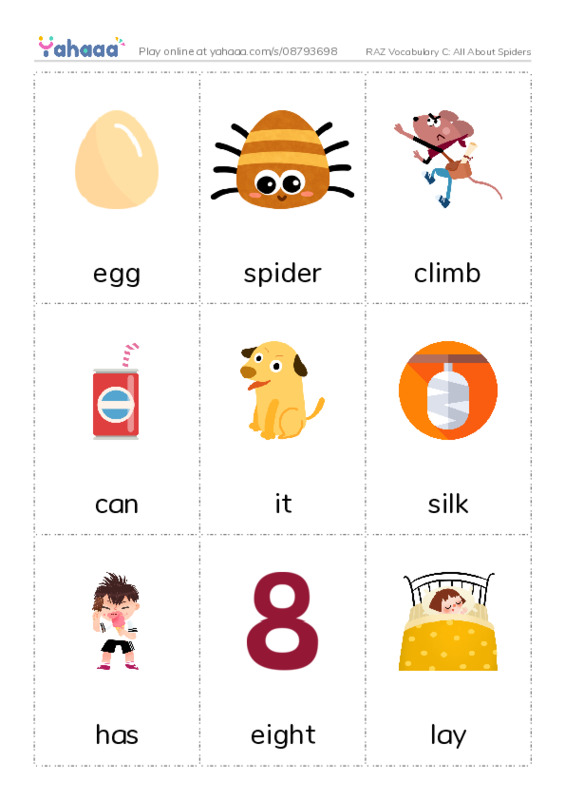 RAZ Vocabulary C: All About Spiders PDF flaschards with images