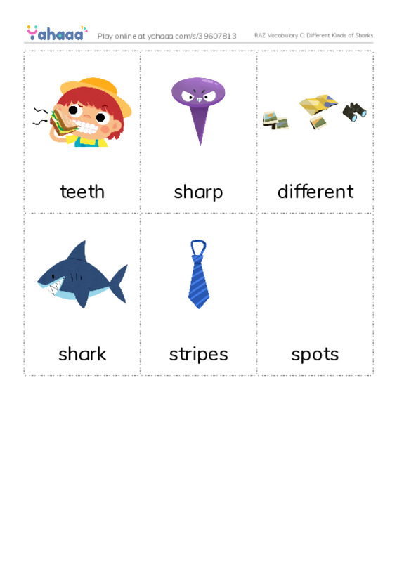 RAZ Vocabulary C: Different Kinds of Sharks PDF flaschards with images